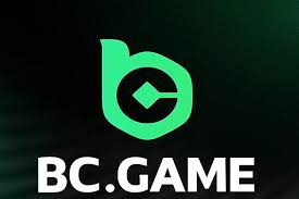 Exploring the Innovative Features of BC.Game Platform 885859018
