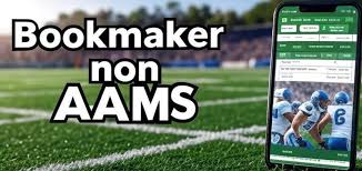 I migliori online casino stranieri gioca in sicurezza e divertiti