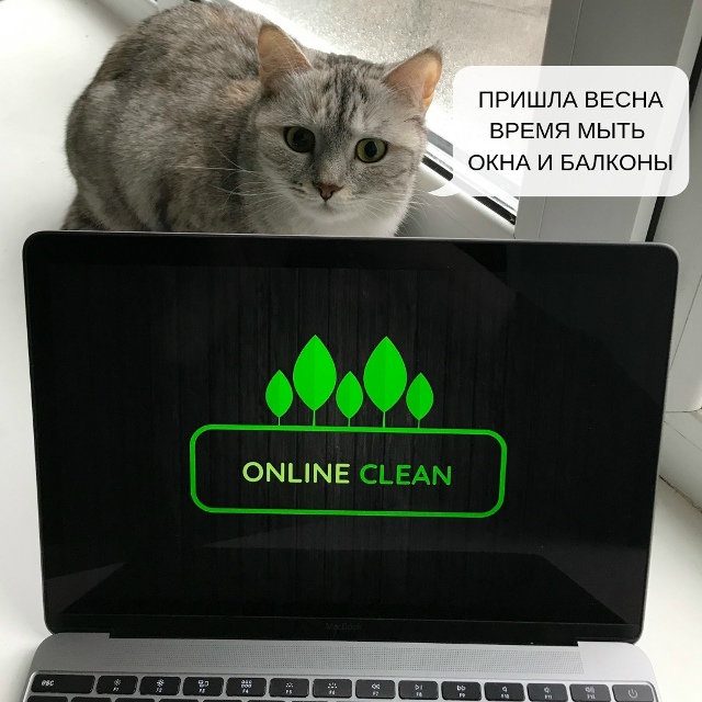 Эффективные способы уборки для вашего дома