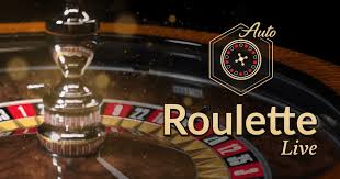 The Thrill of Roulette Casinos A Comprehensive Guide 1751960347