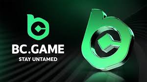 Metodele de Plată BC Game pentru Jucătorii Români